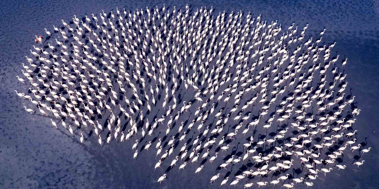 Eskişehirli Fotoğraf Sanatçısı, Uluslararası Yarışmada Bireysel Dünya 2’inciliği Kazandı