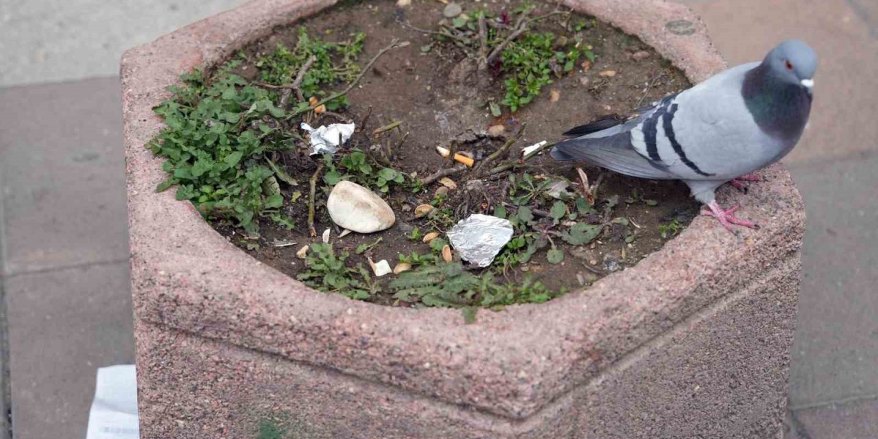 Çevreyi Kirletenlere 2 Bin 953 Tl İdari Para Cezası Uygulayacak