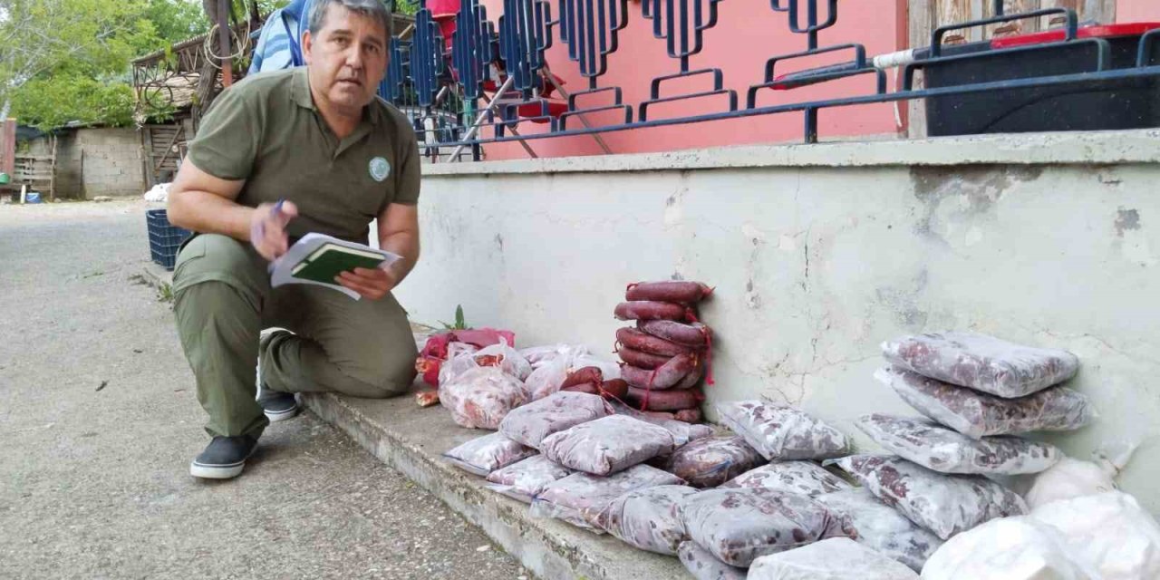 Antalya’da Yasa Dışı Avlanan 48 Kilo Yaban Keçisi Ve Kızıl Geyik Eti Buzdolabında Bulundu