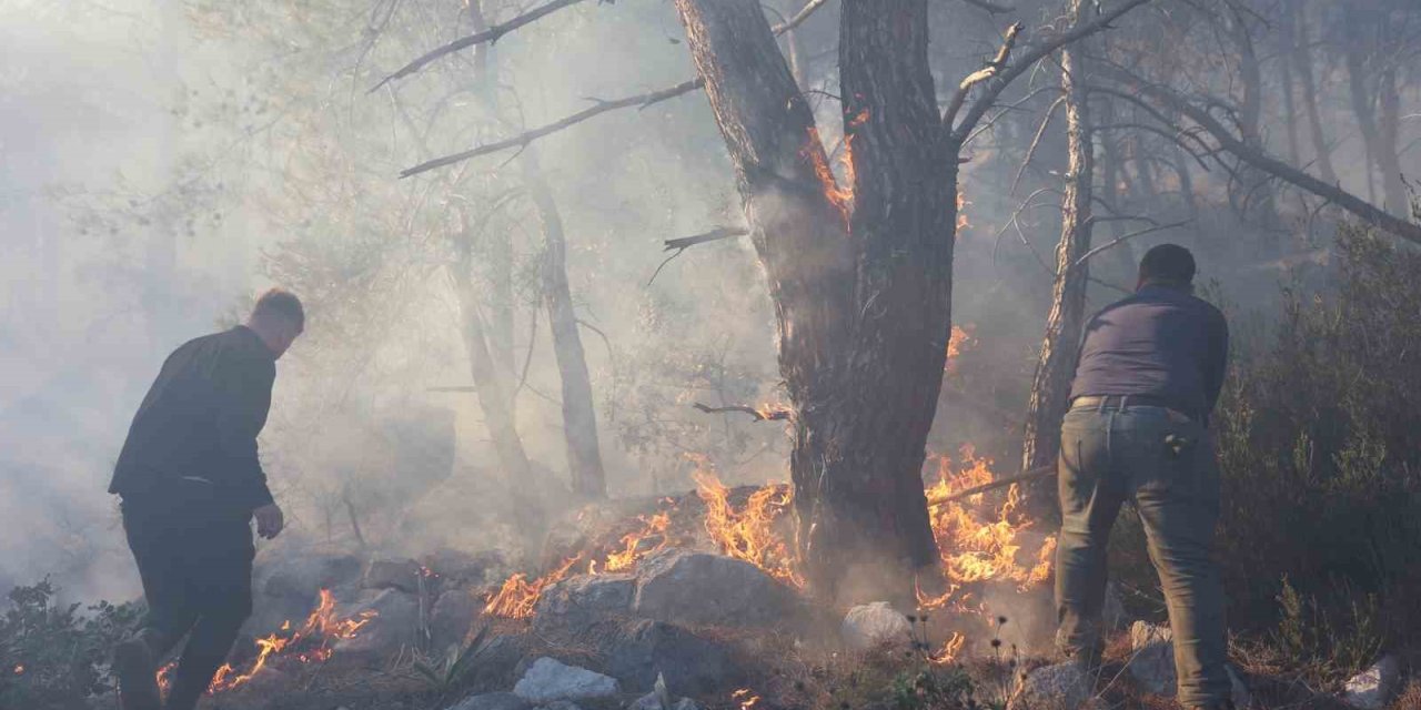 Büyükşehir İtfaiyesinden Orman Yangınına Müdahale Desteği
