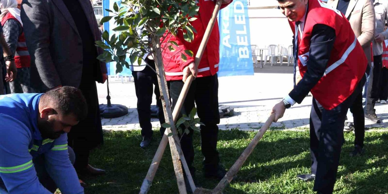 Akdeniz Belediyesi, Depremde Hayatını Kaybedenler Anısına Fidan Dikti