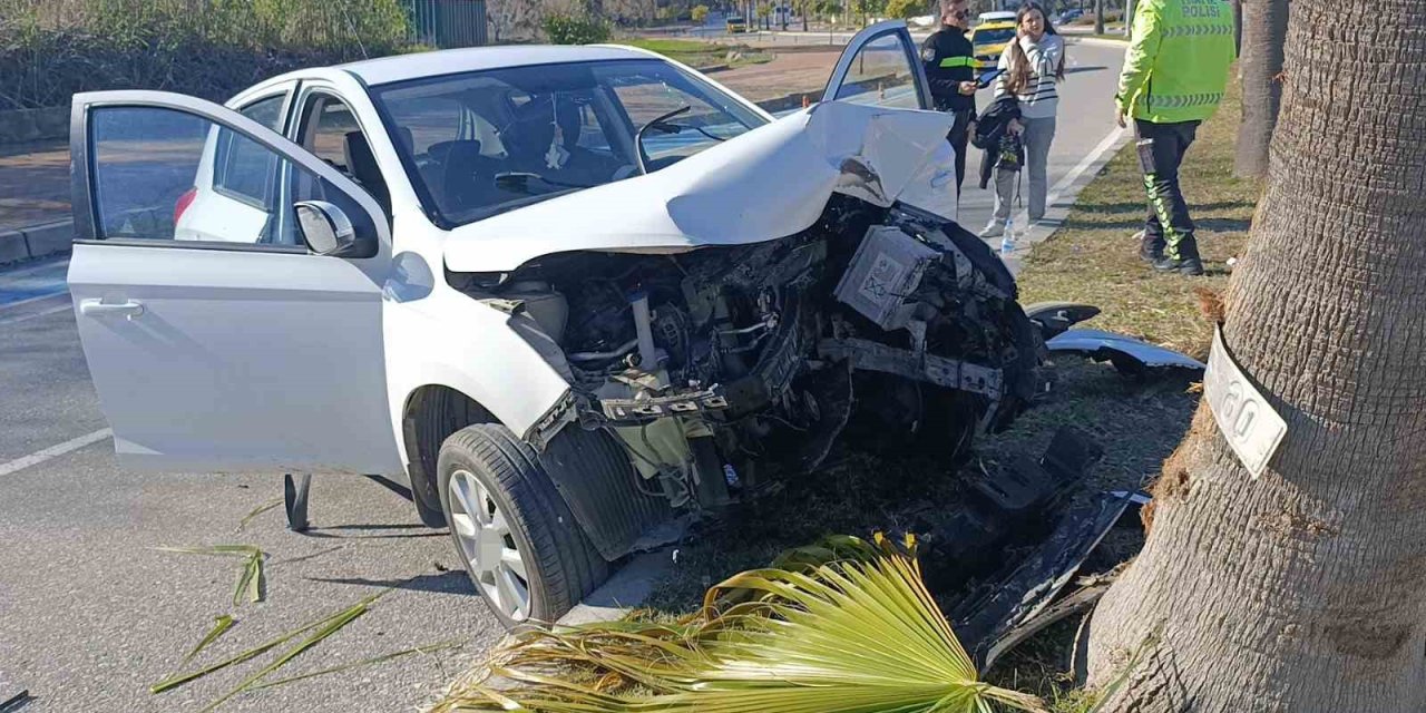 Kontrolden Çıkıp Palmiye Ağacına Çarptı, Otomobilin Plakası Ağaca Yapıştı