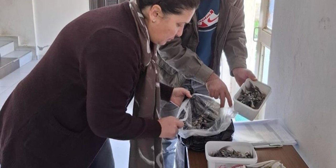 Balon Balığıyla Mücadele Kapsamında Balıkçılara Bilgilendirme Yapıldı