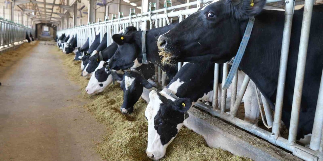 Tarım Ve Orman İl Müdürlüğü’nden Üreticilere Proje Çağrısı