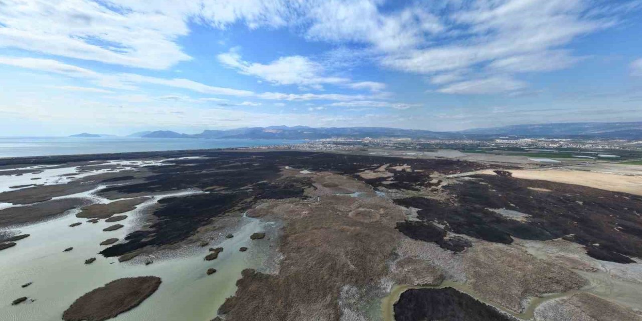 Kuş Cenneti Cehenneme Döndü, Bin Dönümlük Alan Yandı