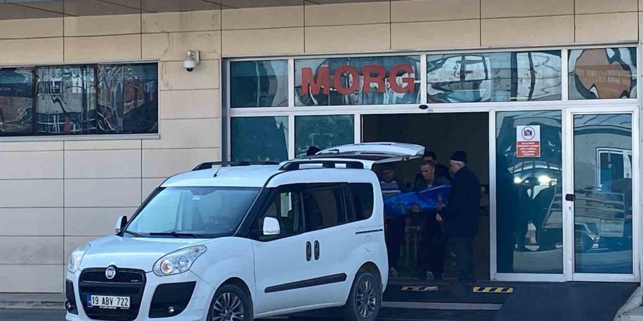 Kamyonetin Çarptığı 1,5 Yaşındaki Enes Bebek Hayatını Kaybetti