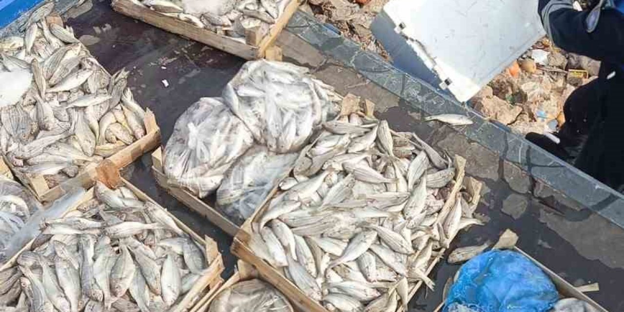 Tarsus’ta 16 Kasa Balık İmha Edildi