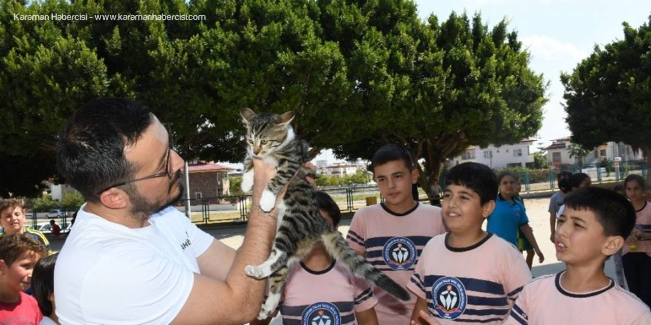 Şanslı Kedi Öğrenciler Ve Öğretmenler Sayesinde Yürümeye Başladı