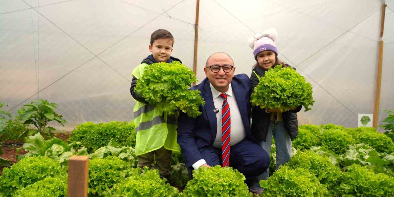 Çocuklar, Serada Yetiştirdikleri Ürünleri Hasat Etti