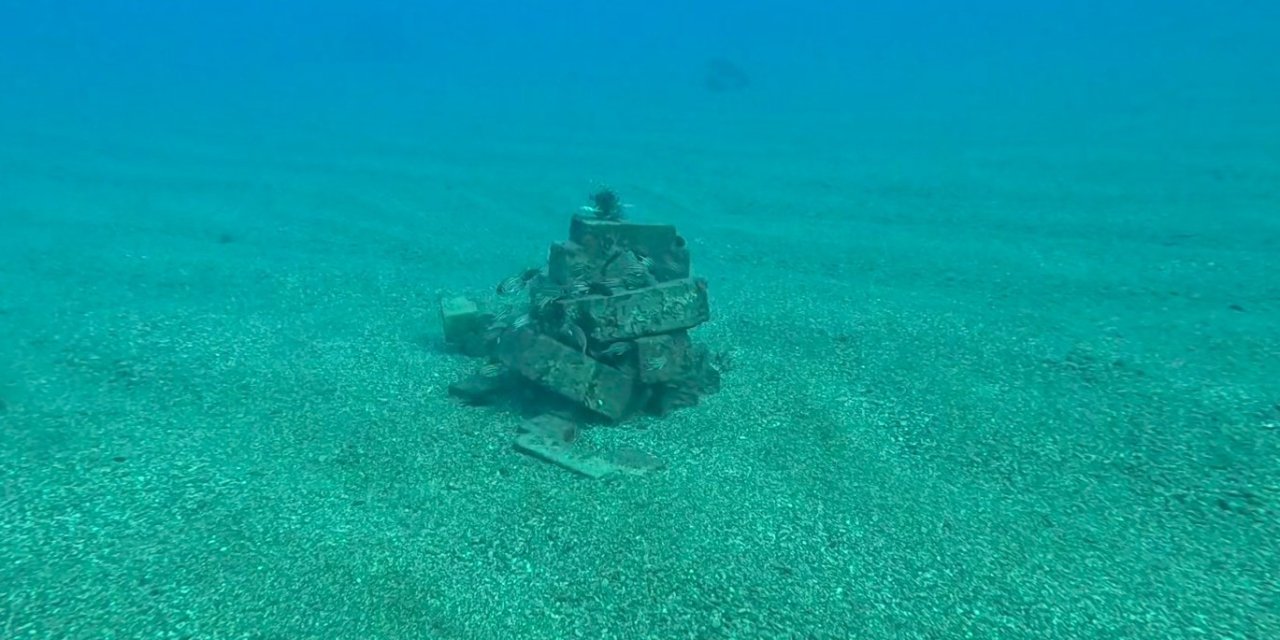 Beton Borunun Ayakları Denizin Altında Balıkların Yaşam Alanı Oldu