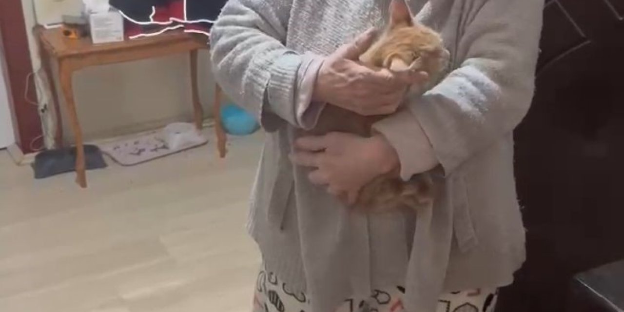 Kayseri’de Bacada Sıkışan Kedi Enkaz Altı Görüntüleme Cihazı İle Kurtarıldı