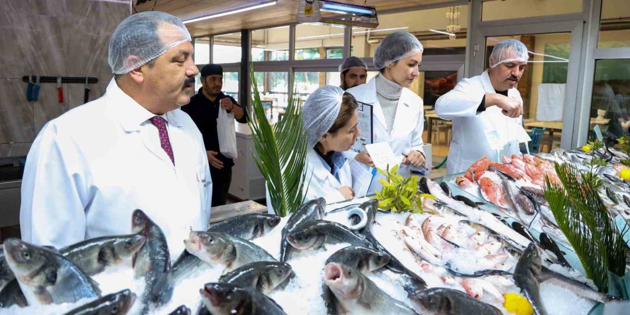 Ekdağ Tesislerinde Tam Teşekküllü Denetim