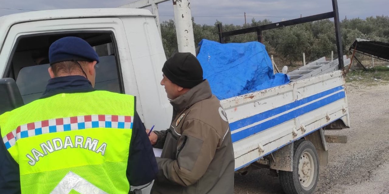 Mersin’de Ormanlık Alanlarda Önleme Aramaları Sürüyor