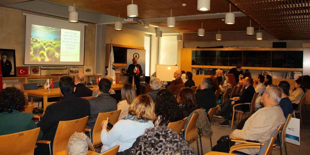 Deniz Çayırları Tehlikede