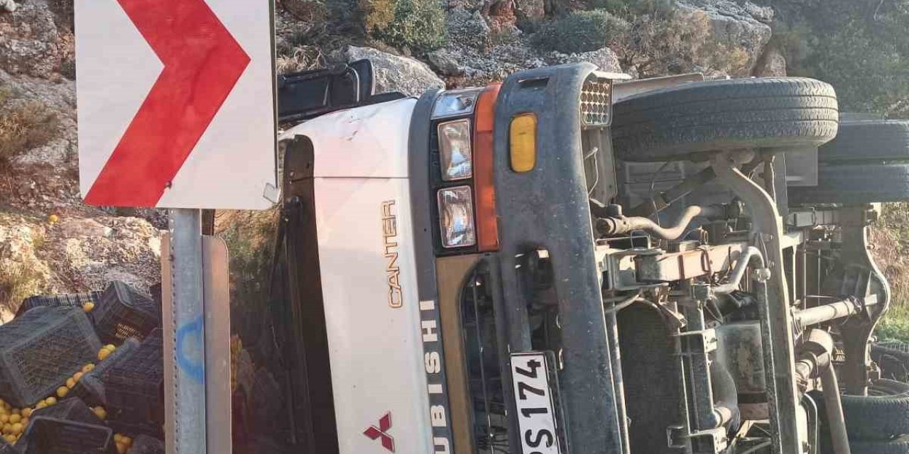 Limon Yüklü Kamyonet Devrildi: 1 Yaralı