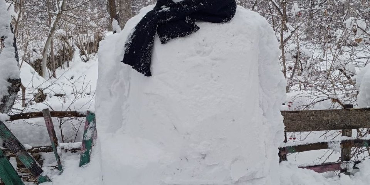 Develi’de Kar Kalınlığı 30 Santime Ulaştı