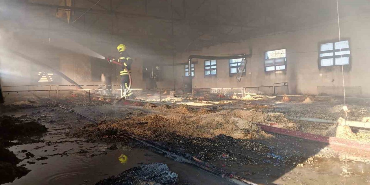 Tarsus’ta Tavuk Üretim Tesisinde Çıkan Yangında Binlerce Civciv Telef Oldu