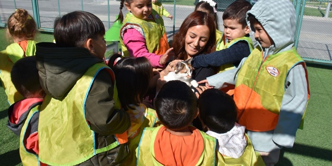 Kayseri’de İlk Olan Küçük Dostlar Kedi Kasabası’na Rekor Ziyaret