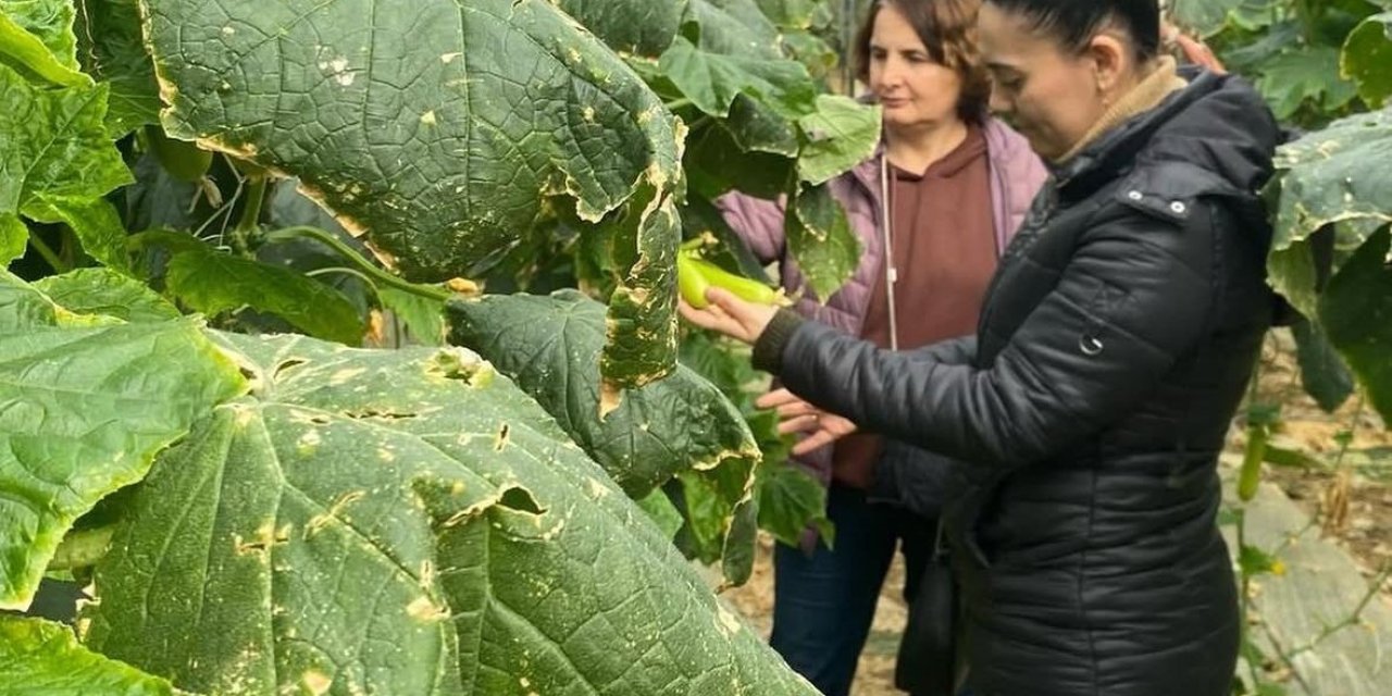 Çiftçilere Biyolojik Mücadele Desteği