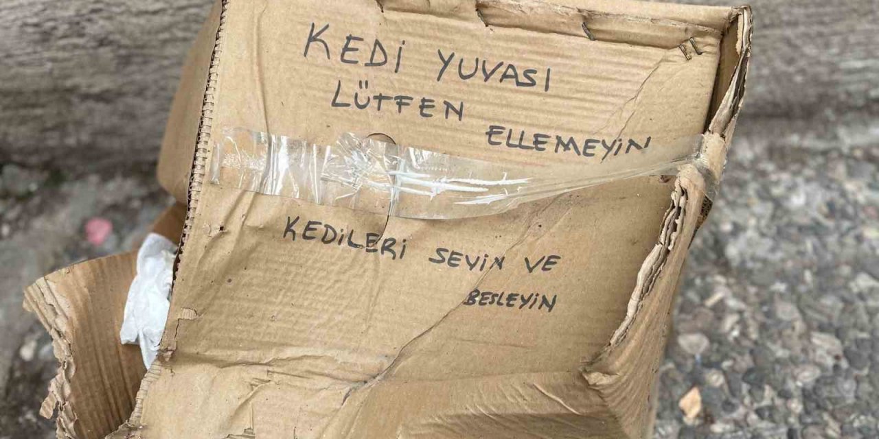 ‘lütfen Ellemeyin’ Notu Da Fayda Etmedi: Kedi Yuvası Tahrip Edildi