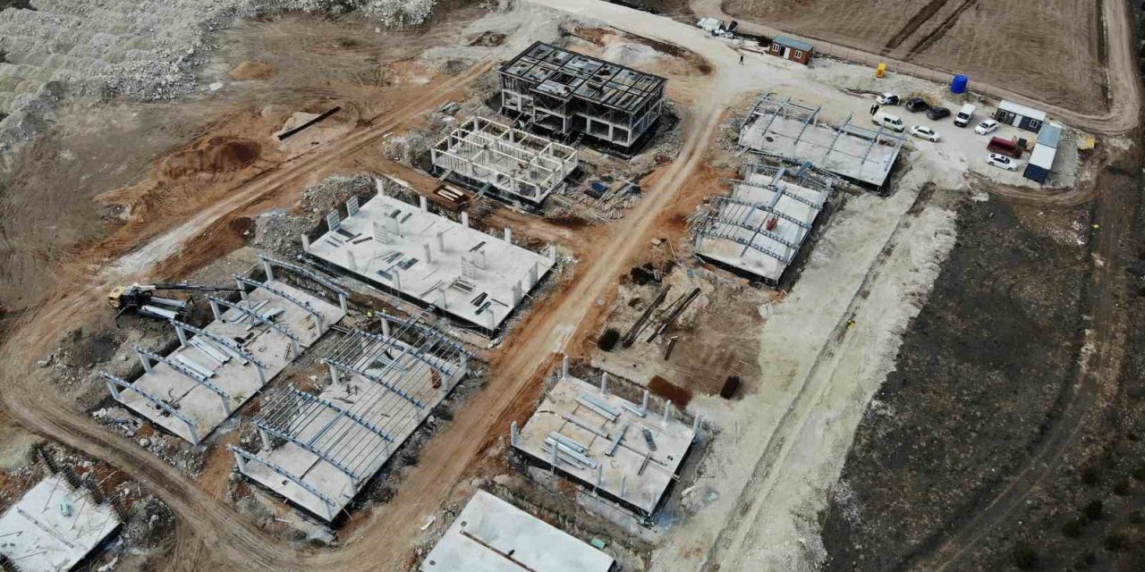 Eskişehir’de 70 Dönümlük Alana Hayvan Bakımevi İnşa Ediliyor