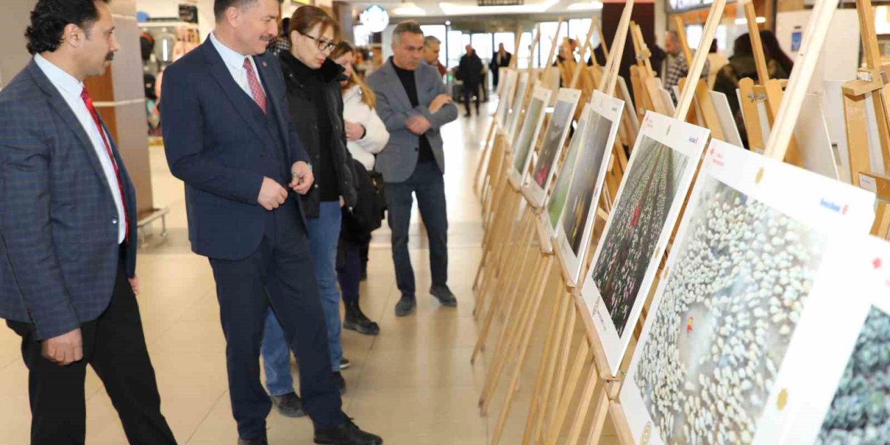 ’tarım, Orman Ve İnsan Fotoğraf Sergisi’ Eskişehir’de