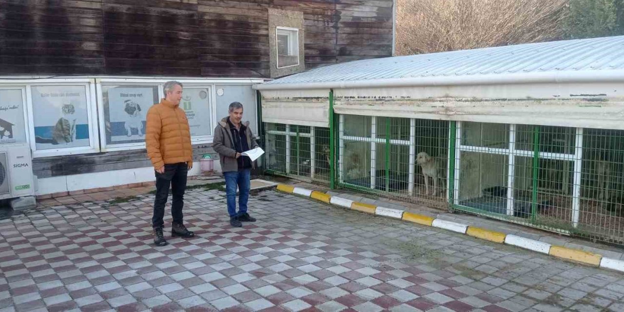 Petshop Ve Benzeri İşletmelere Yönelik Denetim