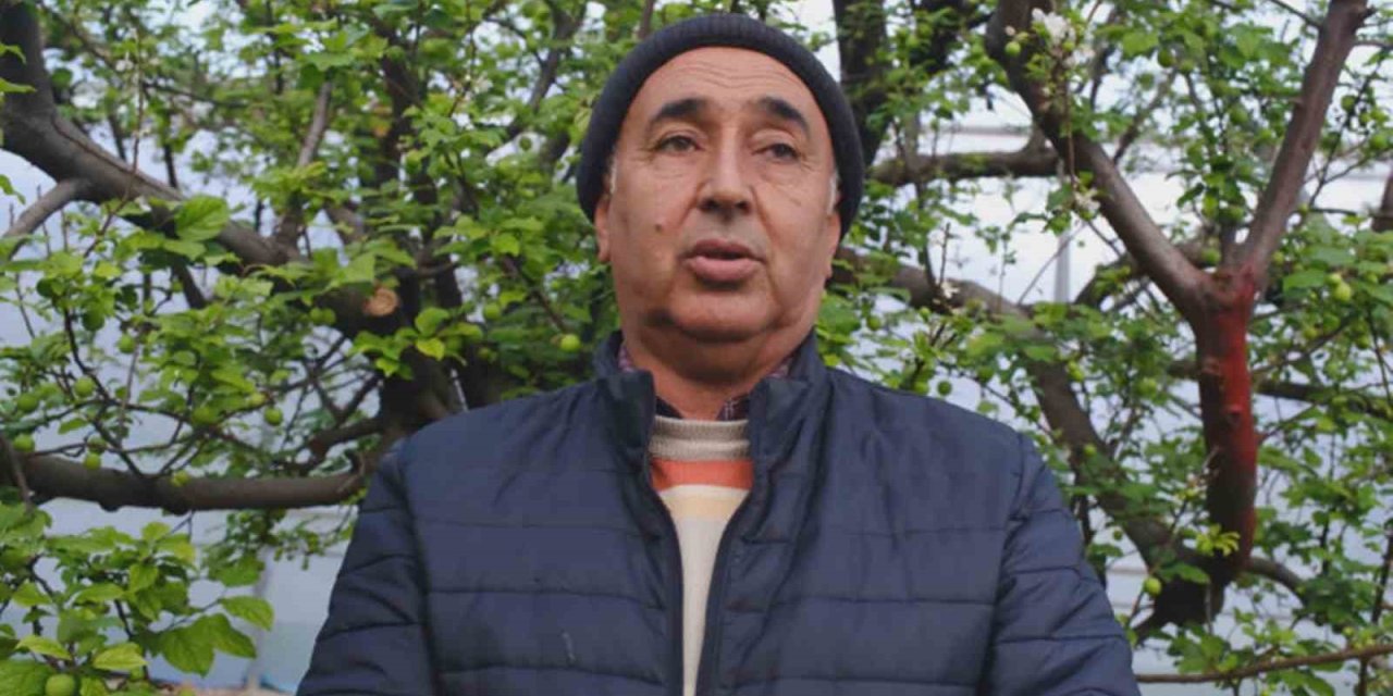 Türkiye’de En Erken Erik Hasadının Yapıldığı Mersin, Seralarıyla İhracat Talebine Yetişemiyor