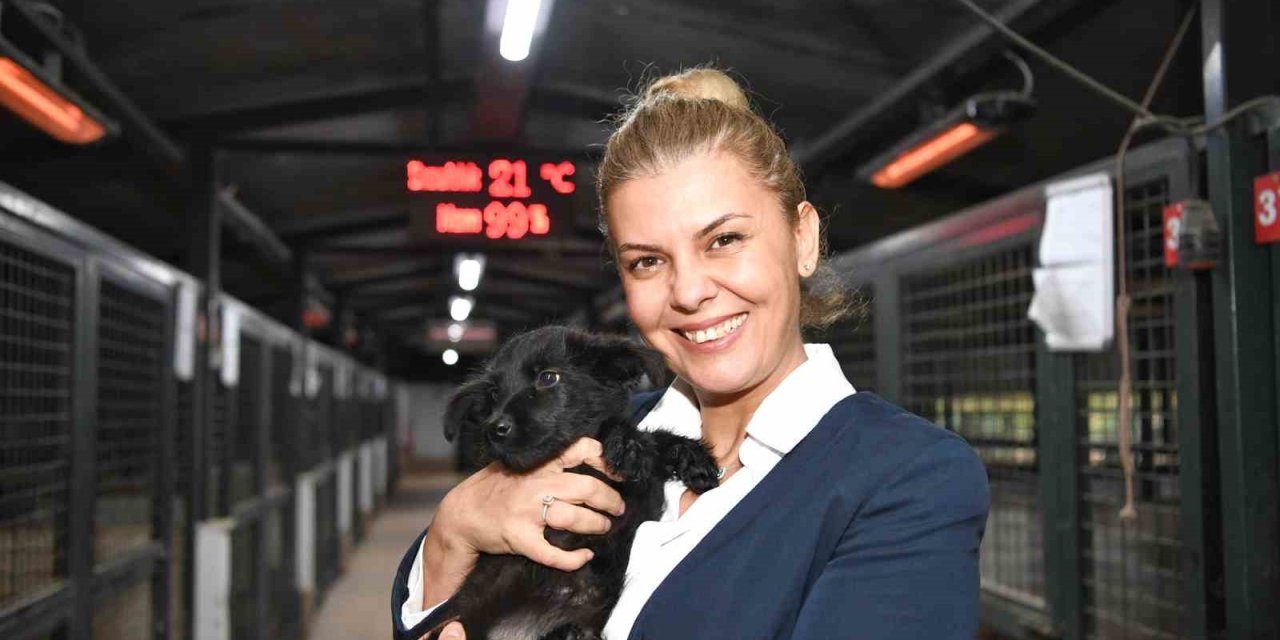 Konyaaltı’nda Minik Patilere Sıcak Yuva