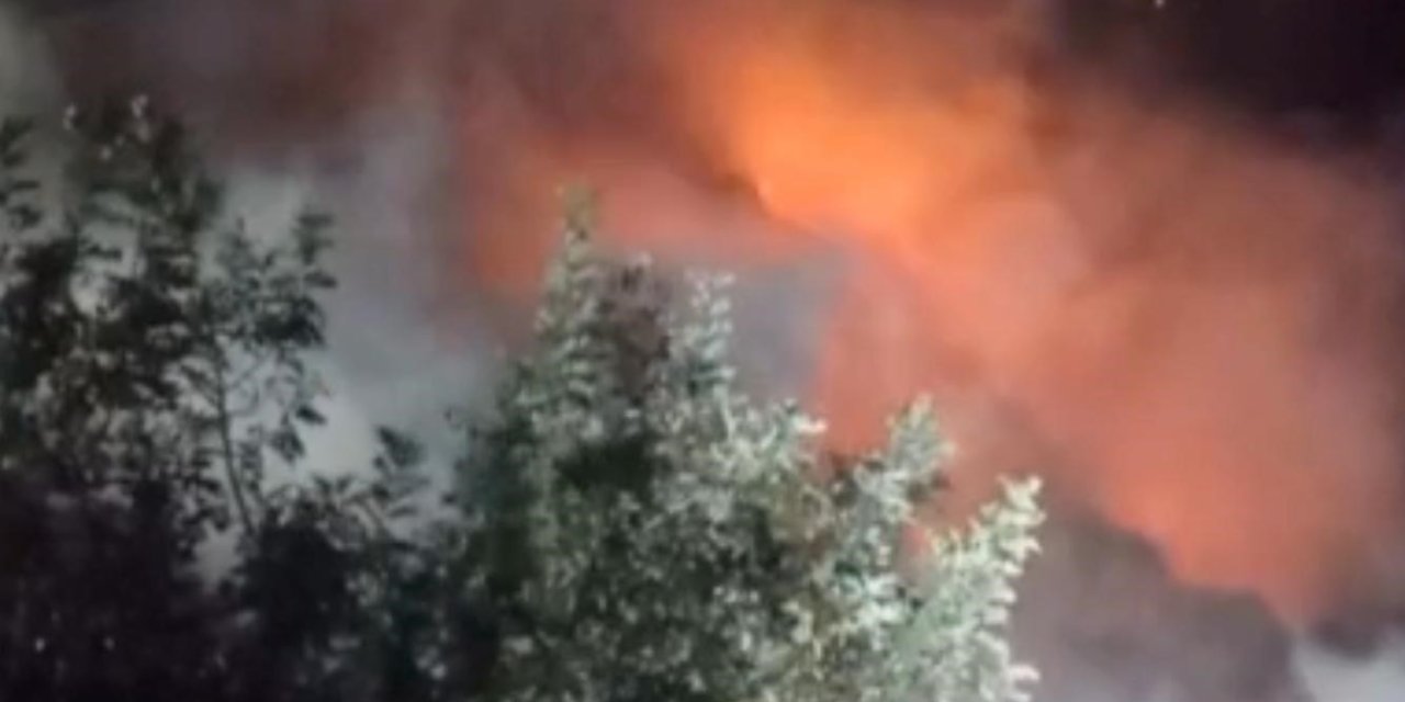 Mersin’de Yangın, Alevler Bahçelere Sıçramadan Söndürüldü