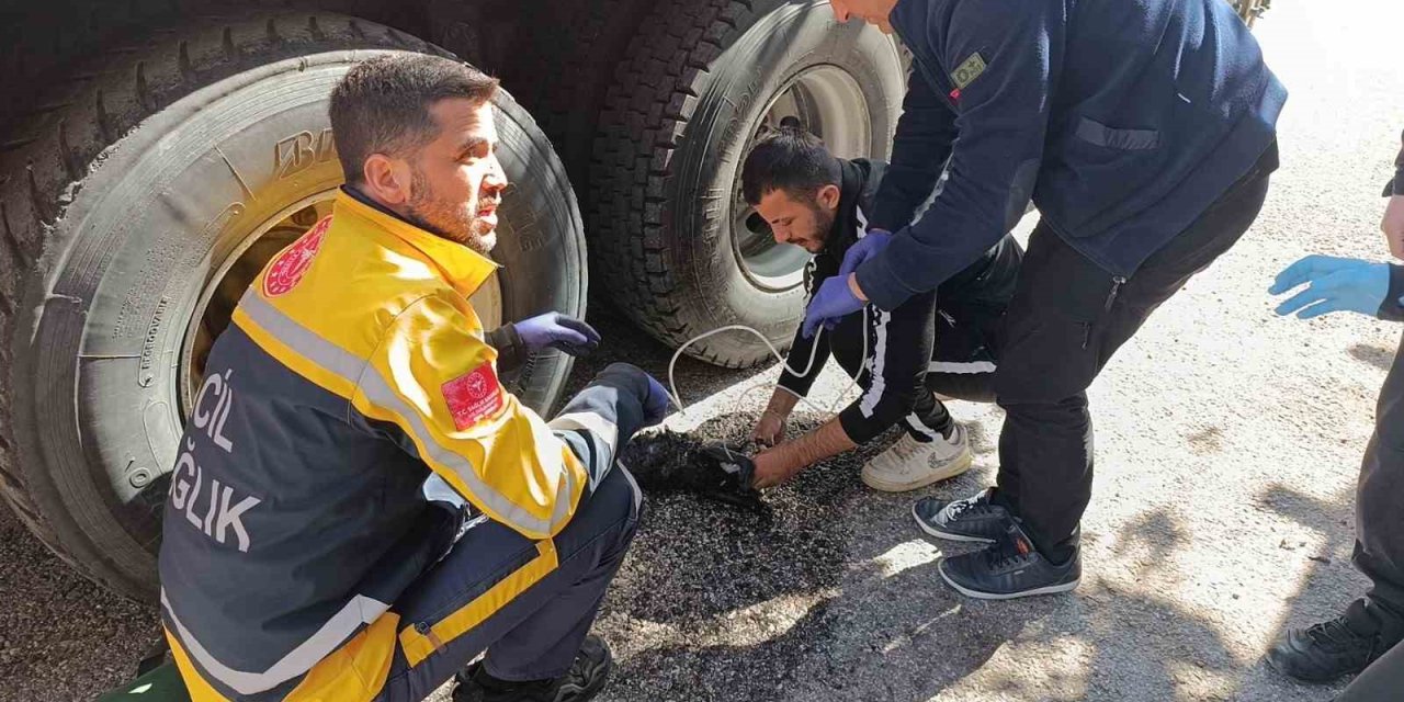 Ev Yangınında 2 Kişi Çatıdan Kurtarıldı, Yanan Kedilere Oksijen Maskesiyle Müdahale Edildi