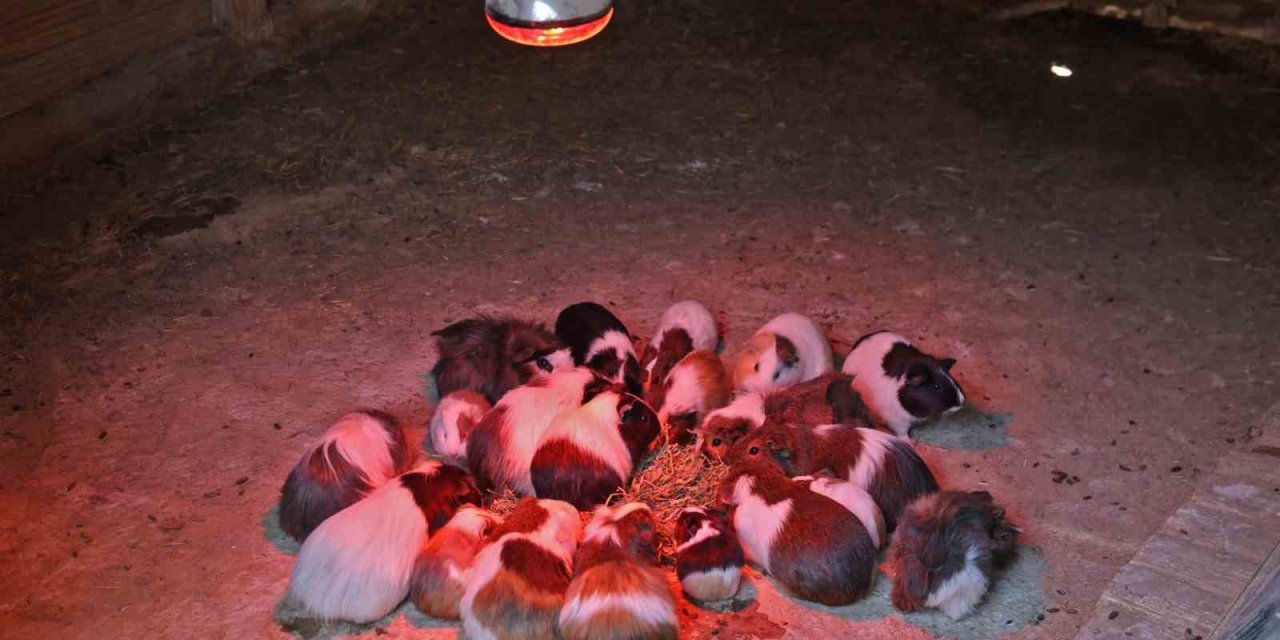 Antalya Doğal Yaşam Parkı’nda Soğuk Hava Önlemi