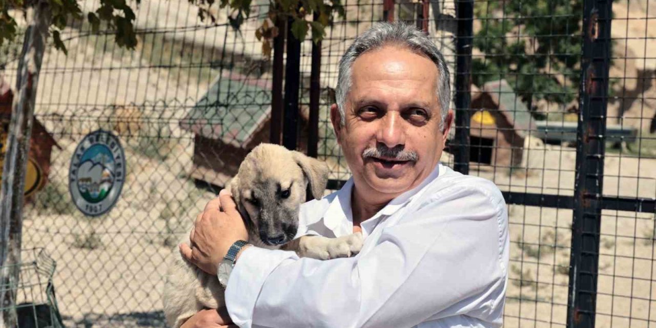 Talas’ta Sevimli Patiler İçin Önemli Çalışma