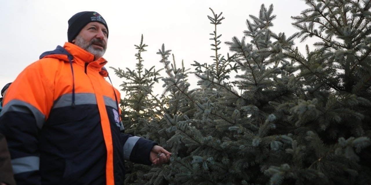 Kayseri’nin Yeşil Örtüsü Kocasinan’da Filizleniyor