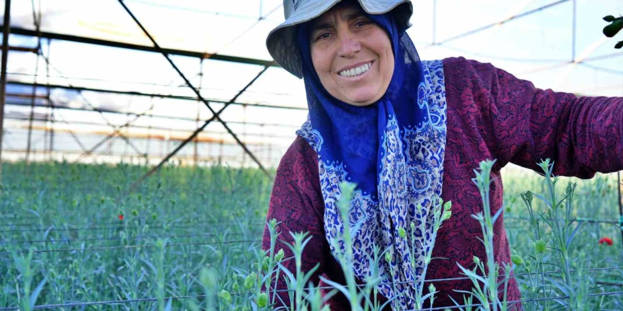 Kadınlar Günü’ne Özel 80 Milyon Dal Karanfil İhracatından 10 Milyon Dolarlık Beklenti