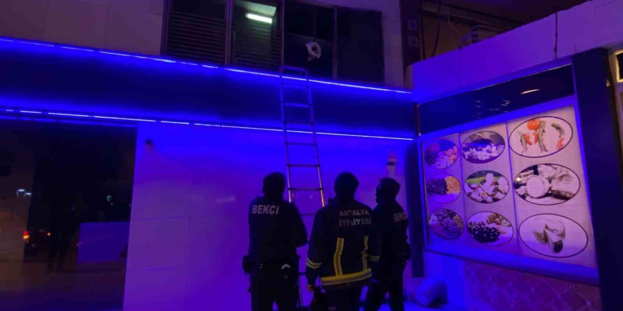 Bankada Mahsur Kalan Kedi Ekipleri Alarma Geçirdi