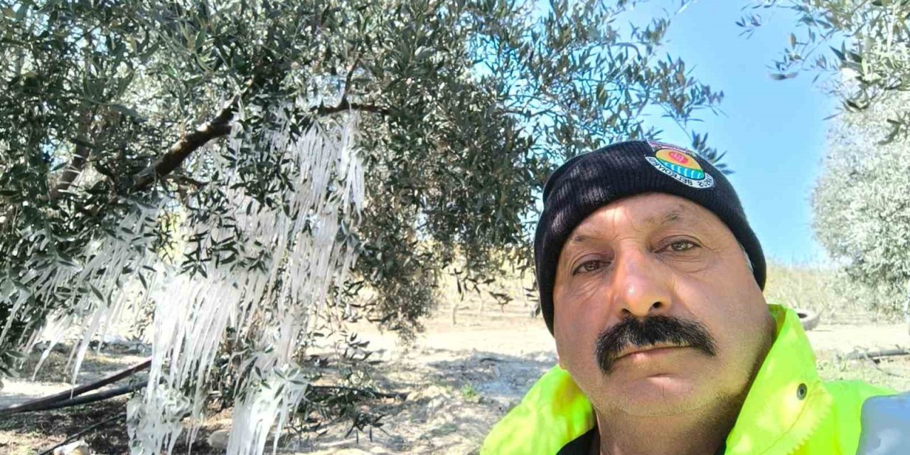 Tarsus’ta Ağaçlarda Buz Sarkıtları Oluştu