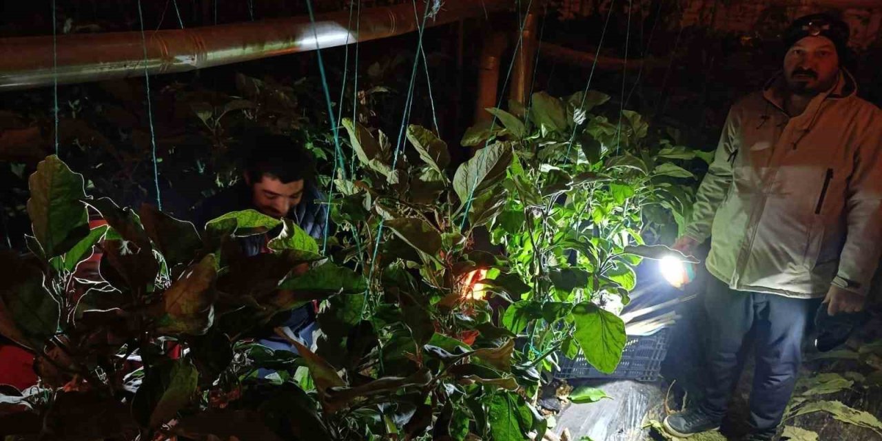 Gazipaşa’da Dondurucu Soğukta Zirai Don Nöbeti