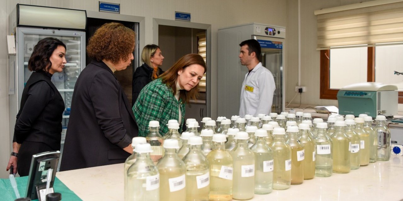 Meski Su Analiz Laboratuvarı, Türkak Denetimini Başarıyla Tamamladı