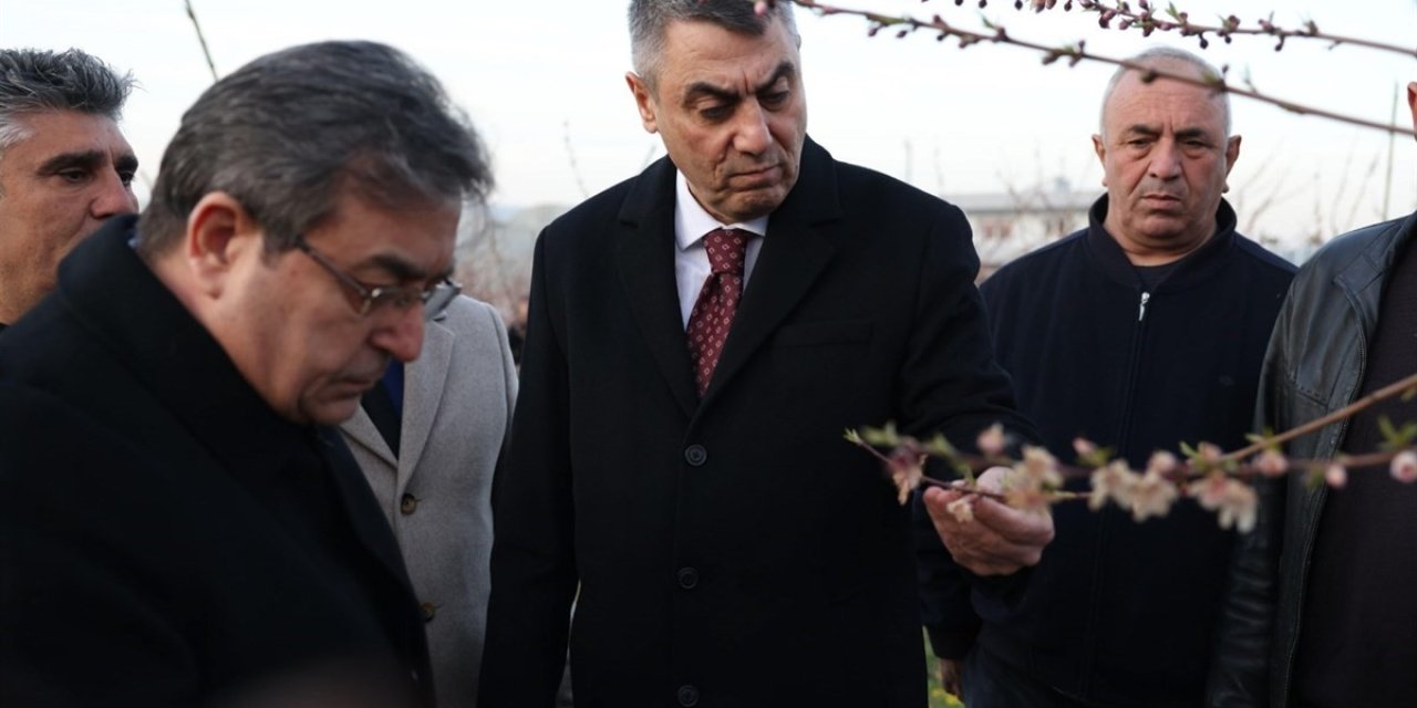 Mersin Valisi Toros, Zirai Dondan Etkilenen Arazilerde İnlemede Bulundu