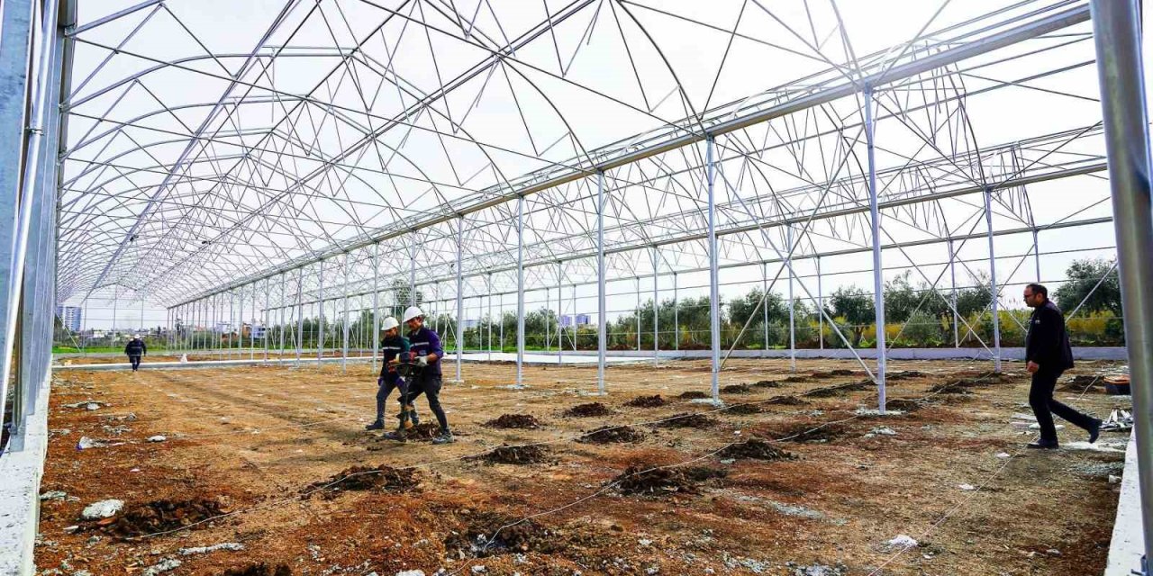 Tarsus Belediyesinden Kadın Girişimcilere Tarım Desteği