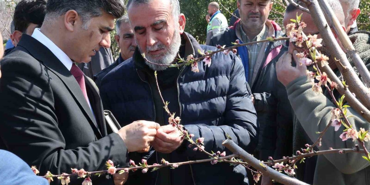 Başkan Vekili Şener, Dondan Zarar Gören Tarım Arazilerinde İncelemelerde Bulundu