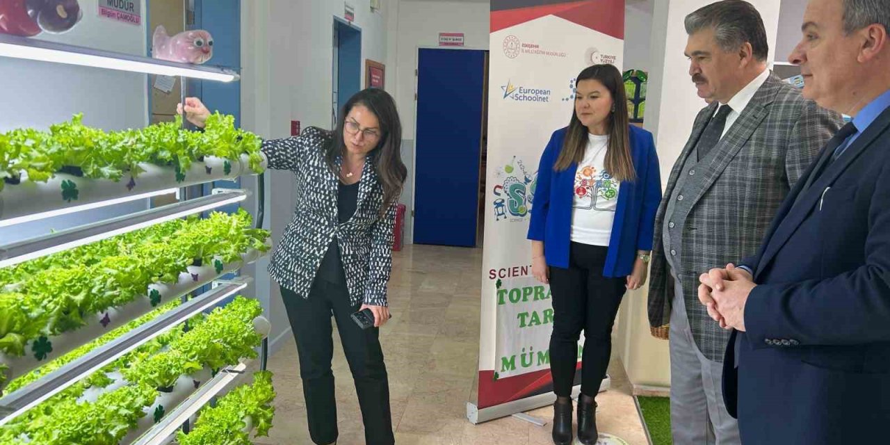 Anaokulunda Topraksız Tarım, İlk Hasat Yapıldı