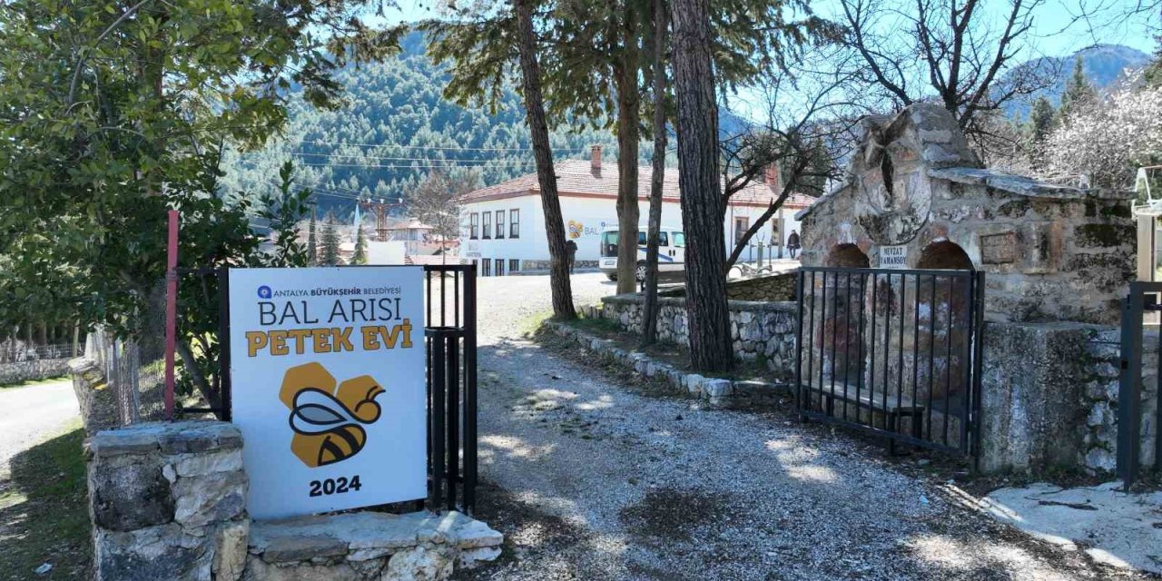 Büyükşehir Belediyesinin Bal Arısı Petek Evi Açılışa Hazırlanıyor