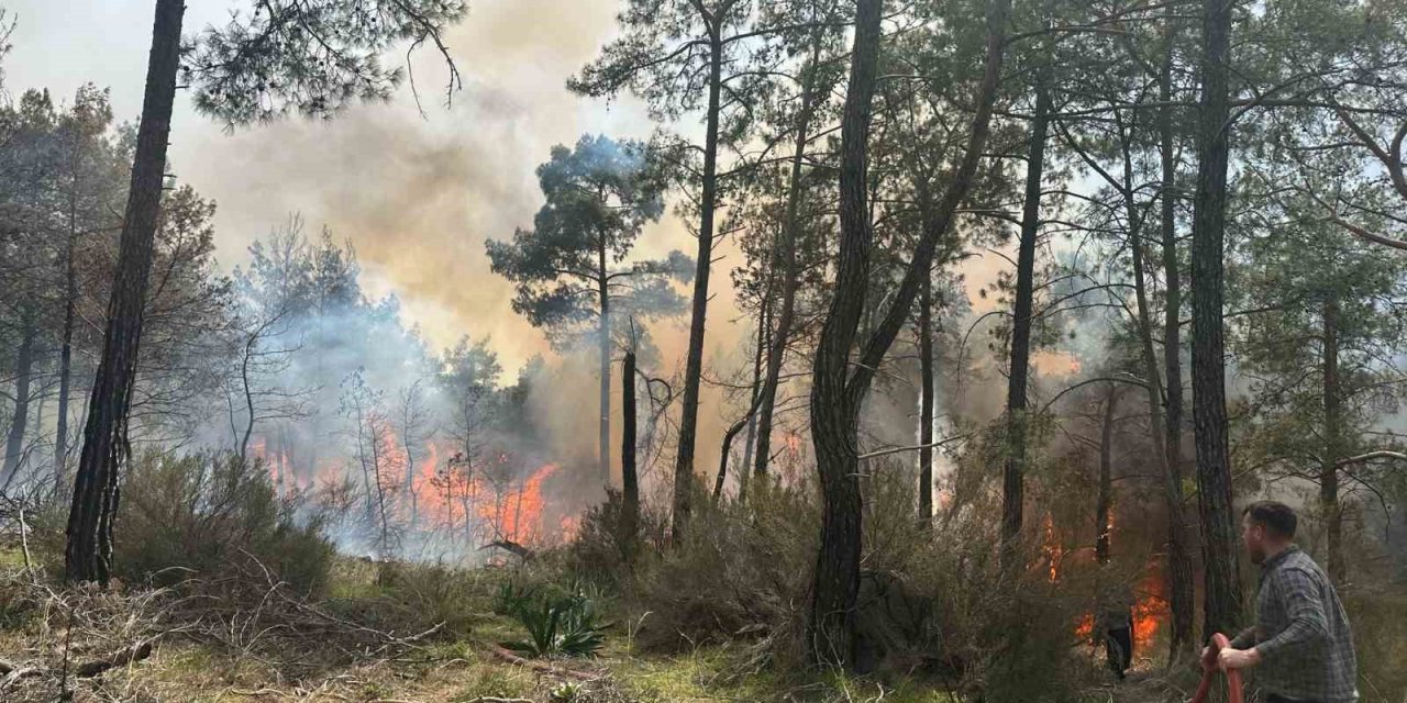 Kemer’de Orman Yangını