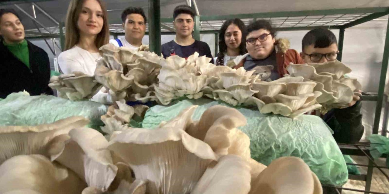 Tarım Lisesi Öğrencileri, Özel Eğitim Öğrencileriyle Mantar Hasadı Yaptı