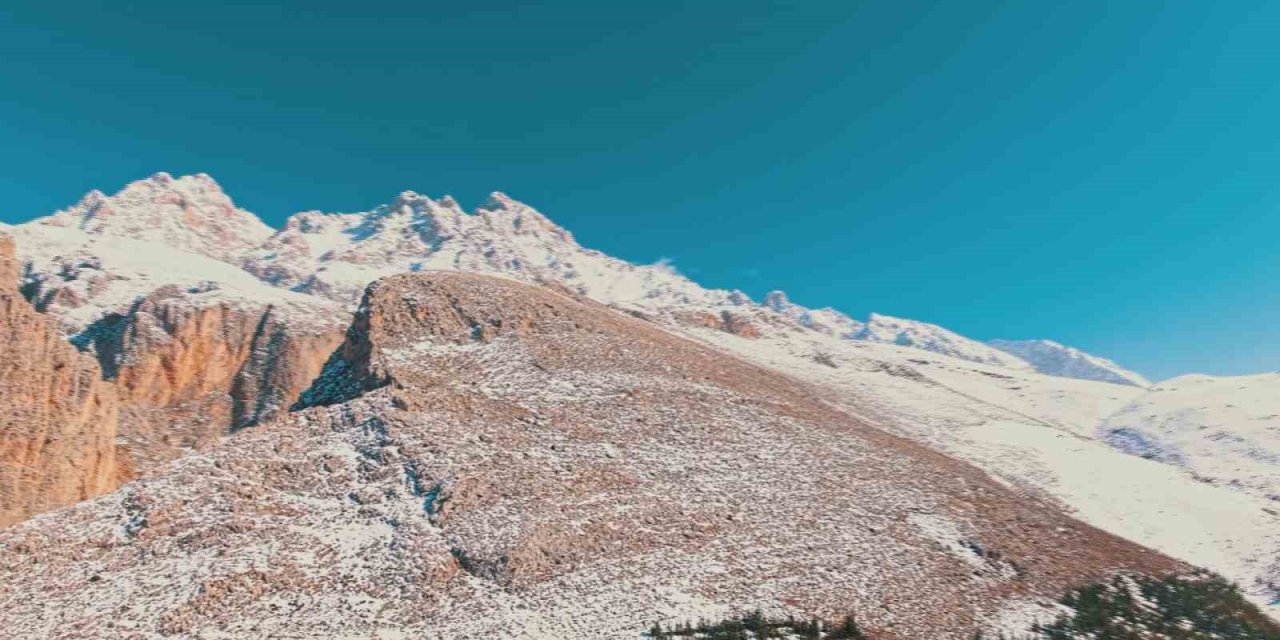 Dağ Keçilerinin Kış Yolculuğu Havadan Görüntülendi