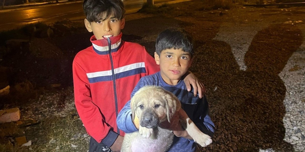 Kuyuya Düşen Yavru Köpek, İtfaiye Ekiplerince Kurtarıldı