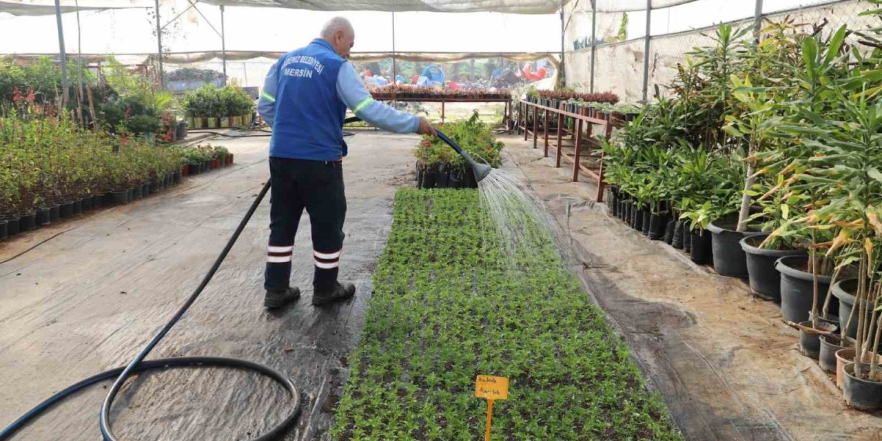 Akdeniz’in Caddeleri Rengarenk Çiçeklerle Buluşmaya Hazırlanıyor