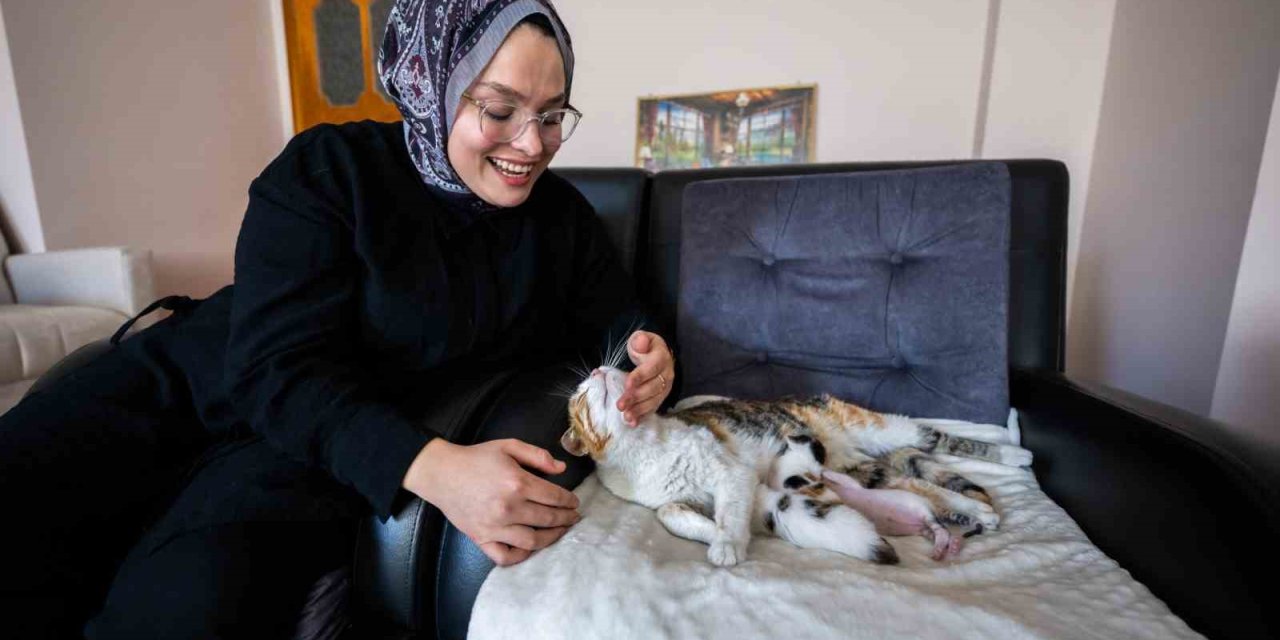 Camiye Sığınan Kedi Ve Yavruları Yeni Yuvasına Kavuştu